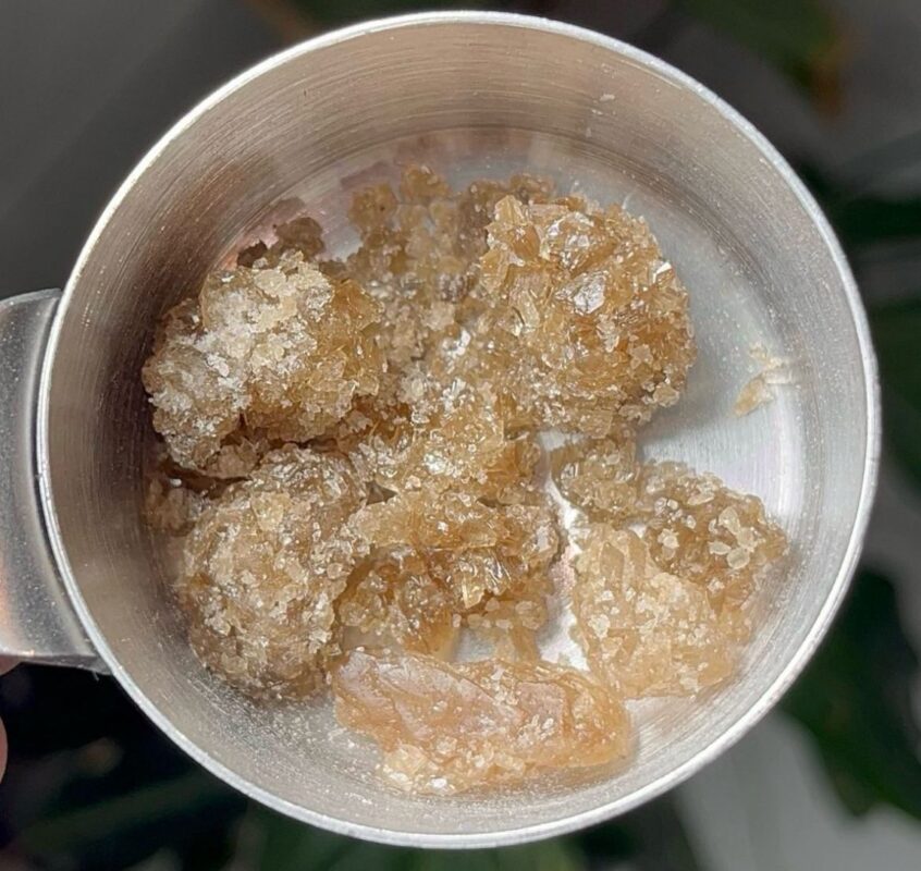 Buy champagne mdma online